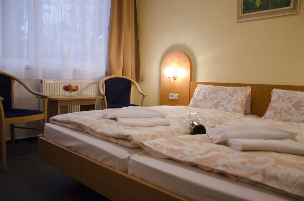 Hotel Zatisi Františkovy Lázně Værelse billede